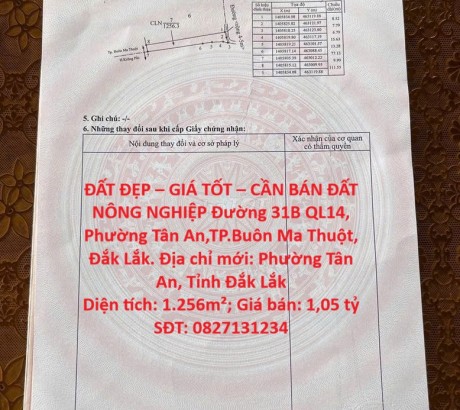 ĐẤT ĐẸP – GIÁ TỐT – CẦN BÁN ĐẤT NÔNG NGHIỆP Đường 31B QL14, Phường Tân An,TP.Buôn Ma Thuột, Đắk Lắk