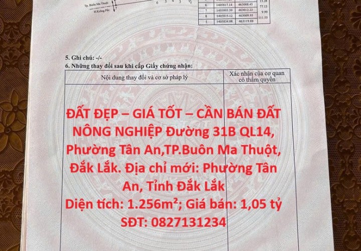 ĐẤT ĐẸP – GIÁ TỐT – CẦN BÁN ĐẤT NÔNG NGHIỆP Đường 31B QL14, Phường Tân An,TP.Buôn Ma Thuột, Đắk Lắk