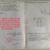NHÀ ĐẸP – GIÁ TỐT – CHÍNH CHỦ CẦN BÁN NHÀ CẤP 4 TẠI Đường Huỳnh Thị Lớn, Xã Phước Thạnh, Củ Chi, TP.HCM
