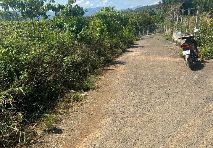 CƠ HỘI SỞ HỮU 4.518M² ĐẤT ĐẸP – Xã Lộc Thành (cũ) Huyện Bảo Lộc, Lâm Đồng – GIÁ 900 TRIỆU/SÀO