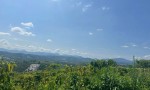 CƠ HỘI SỞ HỮU 4.518M² ĐẤT ĐẸP – Xã Lộc Thành (cũ) Huyện Bảo Lộc, Lâm Đồng – GIÁ 900 TRIỆU/SÀO