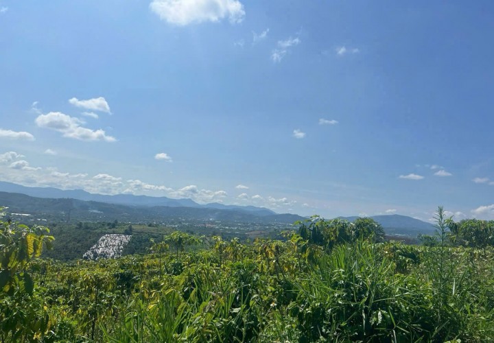 CƠ HỘI SỞ HỮU 4.518M² ĐẤT ĐẸP – Xã Lộc Thành (cũ) Huyện Bảo Lộc, Lâm Đồng – GIÁ 900 TRIỆU/SÀO