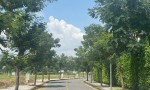 ĐẤT NỀN GÓC KDC THANH PHÚ- MỸ YÊN - Chính Chủ BÁN NHANH LÔ ĐẤT ĐẦU TƯ LÀ SINH LỜI