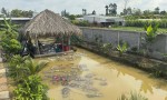 ĐẤT ĐẸP –  CẦN BÁN LÔ ĐẤT ĐẸP ĐỐI DIỆN TRUNG TÂM VĂN HOÁ THỂ THAO, ĐƯỜNG 1/5 Thị Trấn Lai Vung, Đồng Tháp