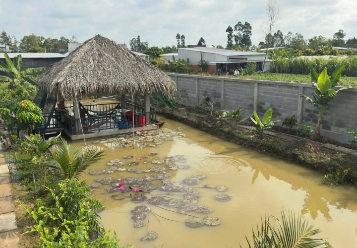 ĐẤT ĐẸP –  CẦN BÁN LÔ ĐẤT ĐẸP ĐỐI DIỆN TRUNG TÂM VĂN HOÁ THỂ THAO, ĐƯỜNG 1/5 Thị Trấn Lai Vung, Đồng Tháp