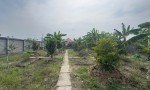 ĐẤT ĐẸP –  CẦN BÁN LÔ ĐẤT ĐẸP ĐỐI DIỆN TRUNG TÂM VĂN HOÁ THỂ THAO, ĐƯỜNG 1/5 Thị Trấn Lai Vung, Đồng Tháp