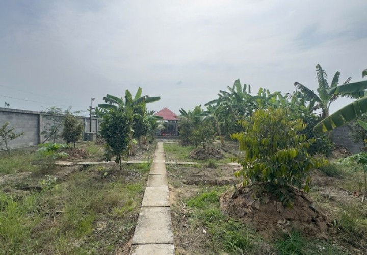 ĐẤT ĐẸP –  CẦN BÁN LÔ ĐẤT ĐẸP ĐỐI DIỆN TRUNG TÂM VĂN HOÁ THỂ THAO, ĐƯỜNG 1/5 Thị Trấn Lai Vung, Đồng Tháp