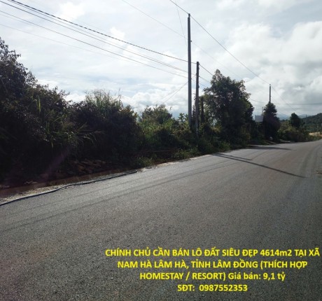CHÍNH CHỦ CẦN BÁN LÔ ĐẤT SIÊU ĐẸP 4614m2 TẠI XÃ NAM HÀ LÂM HÀ, TỈNH LÂM ĐỒNG (THÍCH HỢP HOMESTAY / RESORT)