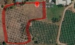 CHÍNH CHỦ BÁN HƠN 3.000m² ĐẤT PHÚ LONG - CÁCH TRUNG TÂM PHAN THIẾT KHOẢNG 15 PHÚT