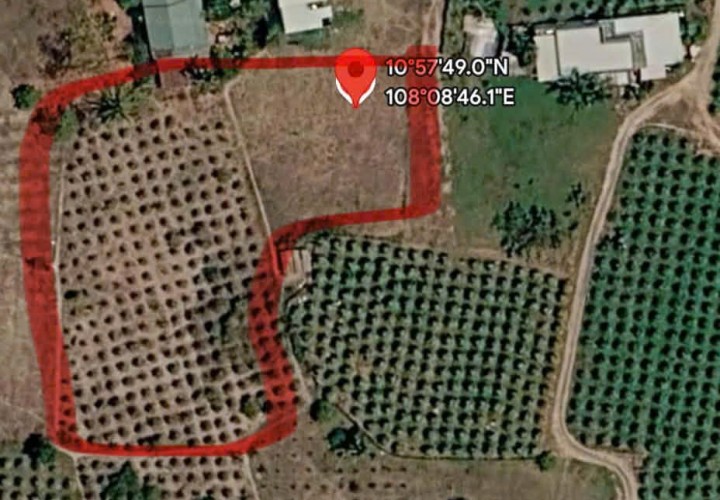 CHÍNH CHỦ BÁN HƠN 3.000m² ĐẤT PHÚ LONG - CÁCH TRUNG TÂM PHAN THIẾT KHOẢNG 15 PHÚT