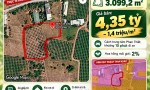 CHÍNH CHỦ BÁN HƠN 3.000m² ĐẤT PHÚ LONG - CÁCH TRUNG TÂM PHAN THIẾT KHOẢNG 15 PHÚT