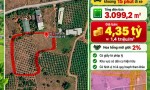 CHÍNH CHỦ BÁN HƠN 3.000m² ĐẤT PHÚ LONG - CÁCH TRUNG TÂM PHAN THIẾT KHOẢNG 15 PHÚT