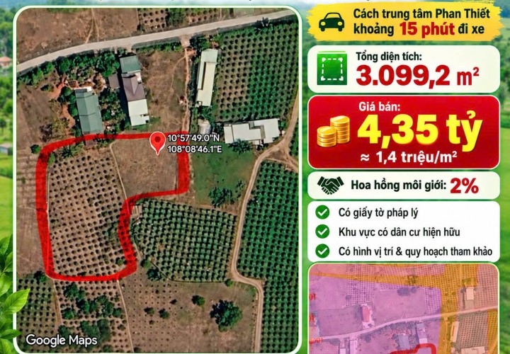 CHÍNH CHỦ BÁN HƠN 3.000m² ĐẤT PHÚ LONG - CÁCH TRUNG TÂM PHAN THIẾT KHOẢNG 15 PHÚT