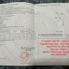 VỊ TRÍ ĐẸP - GIÁ TỐT - Chính Chủ Bán 7 Công Đất Vườn Dừa - Châu Thành Bến Tre
