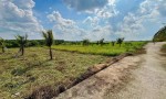 Chỉ Với 350 Triệu Sở Hữu Ngay Lô Đất Vườn 400m2 Tại Xã Tân Phú, Đồng Tháp(TX Cai Lậy, TG cũ)