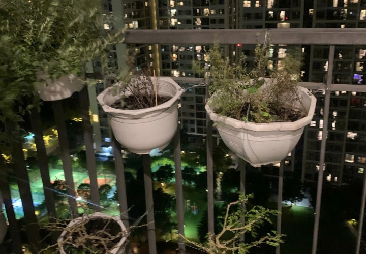 CĂN HỘ ĐẸP – GIÁ TỐT  – CHÍNH CHỦ BÁN NHANH Tại ở Vinhomes Grand Park TP Thủ Đức, HCM