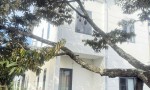 NHÀ VƯỜN SIÊU ĐẸP - Nhà chính chủ tại Ninh Gia, 600M2, thổ cư 150m2, hai tầng lầu. Giá 7,5 tỉ