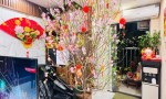 HIẾM CĂN HỘ RICE CITY SÔNG HỒNG 57M² – 2PN – FULL NỘI THẤT – VIEW ĐẸP – CÓ SỔ ĐỎ quận Long Biên, HN
