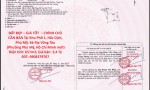 ĐẤT ĐẸP – GIÁ TỐT  – CHÍNH CHỦ CẦN BÁN Tại Khu Phố 1, Hắc Dịch, Phú Mỹ, Bà Rịa Vũng Tàu