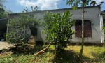 ĐẤT ĐẸP – GIÁ TỐT  – CHÍNH CHỦ CẦN BÁN Tại Khu Phố 1, Hắc Dịch, Phú Mỹ, Bà Rịa Vũng Tàu