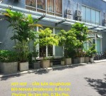 HOT HOT  – CẦN BÁN SHophOUSE  869 Melody Residences, Đ.Âu Cơ, Phường Tân Sơn Nhì, Q.Tân Phú, TP.HCM