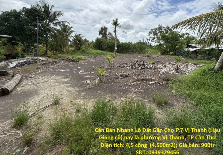 Cần Bán Nhanh Lô Đất Gần Chợ P.7 Vị Thanh (Hậu Giang cũ) nay là phường Vị Thanh, TP Cần Thơ