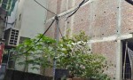 ĐẤT ĐẸP- GIÁ TỐT CHÍNH CHỦ BÁN NHANH LÔ ĐẤT VỊ TRÍ MẶT PHỐ PHAN ĐÌNH GIÓT, phường Hà Đông, TP Hà Nội