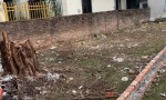 ĐẤT ĐẸP- GIÁ TỐT CHÍNH CHỦ BÁN NHANH LÔ ĐẤT VỊ TRÍ MẶT PHỐ PHAN ĐÌNH GIÓT, phường Hà Đông, TP Hà Nội