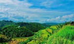 ĐẤT ĐẸP - GIÁ TỐT CHÍNH CHỦ CẦN BÁN 4.158M² ĐẤT VƯỜN TÂN LẠC  – BẢO LỘC Chỉ 4,9 Tỷ