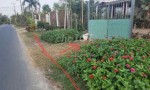 ĐẤT 2 MẶT TIỀN – GIÁ TỐT  – CHÍNH CHỦ CẦN BÁN Tại số 15, Đường Bàu Lách, Xã Phạm Văn Cội, Huyện Củ Chi