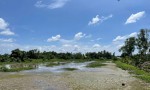 Cần Bán Nhanh Lô Đất Gần Chợ Tư Sáng, xã Tân Tiến, TP Vị Thanh, Tỉnh Hậu Giang cũ nay là xã Hỏa Lựu, TP Cần Thơ.