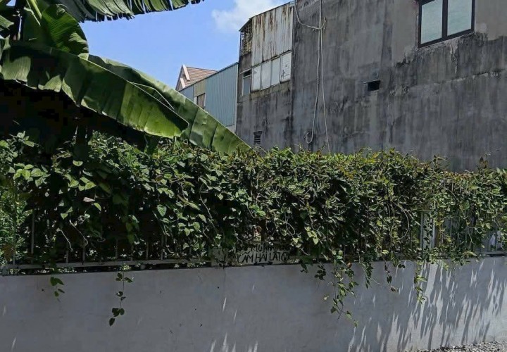 ĐẤT 370M² – NGANG 12M – GIÁ 24.9 TỶ – MT NHÁNH LÊ QUANG HÒA, THỚI AN, Q.12