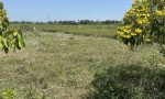 GIÁ TỐT _  CHÍNH CHỦ - Cần Bán Gấp Lô Đất Mặt Tiền Vị Trí Tại Ấp Quới An, Xã Long Bình, Tỉnh Đồng Tháp