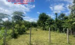 ĐẦU TƯ SINH LỜI - CHÍNH CHỦ CẦN BÁN GẤP LÔ ĐẤT TẠI Xã Cuôr Đăng,  Cư M'gar, Đắk Lắk