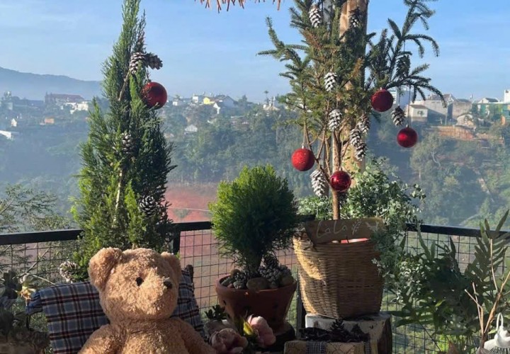 GIA CHỦ CẦN BÁN CĂN HOMESTAY BẢO LỘC - PHƯỜNG 1, Cách Đường Nguyễn Văn Cừ 200m