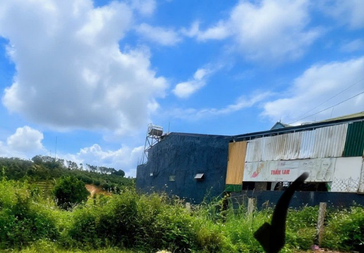 GIÁ TỐT - CHÍNH CHỦ Cần Bán Nhanh Lô Đất Cách Trường Cao Đẳng Cộng Đồng Chỉ 100m