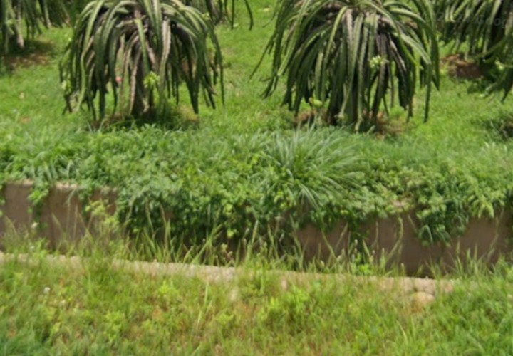 ĐẤT ĐẸP - GIÁ TỐT - CHÍNH CHỦ Cần Bán Nhanh Lô Đất Hàm Thạnh, Hàm Thuận Nam, Bình Thuận.