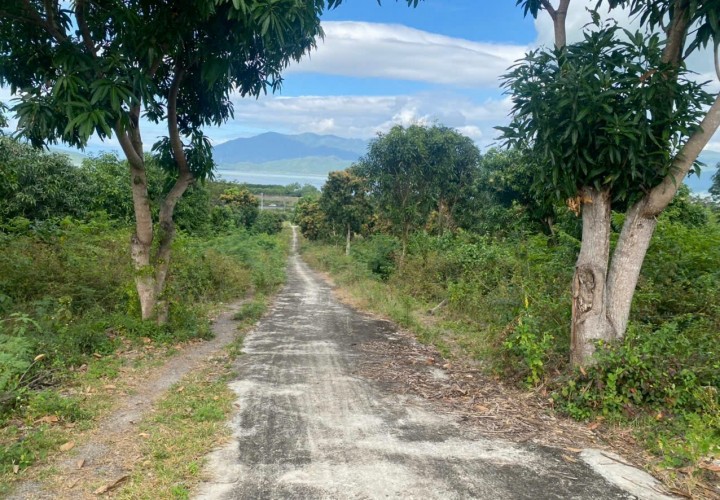 ĐẤT ĐẸP - VỊ TRÍ ĐẮC ĐỊA - GIÁ SIÊU ĐẦU TƯ Tại Xã Ninh Ích Ninh Hoà Khánh Hoà