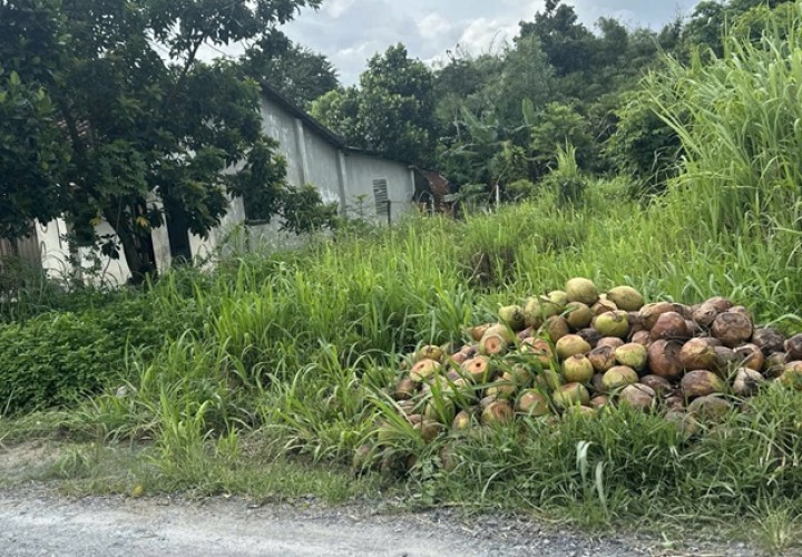 ĐẤT CHÍNH CHỦ- GIÁ TỐT CẦN BÁN NHANH LÔ ĐẤT MẶT TIỀN tại huyện Củ Chi, TPHCM