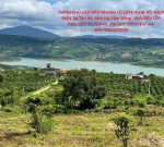 CHÍNH CHỦ CẦN BÁN NHANH LÔ CAFE VIEW HỒ THUỶ ĐIỆN Tại Tân Hà, Lâm Hà, Lâm Đồng - GIÁ SIÊU TỐT