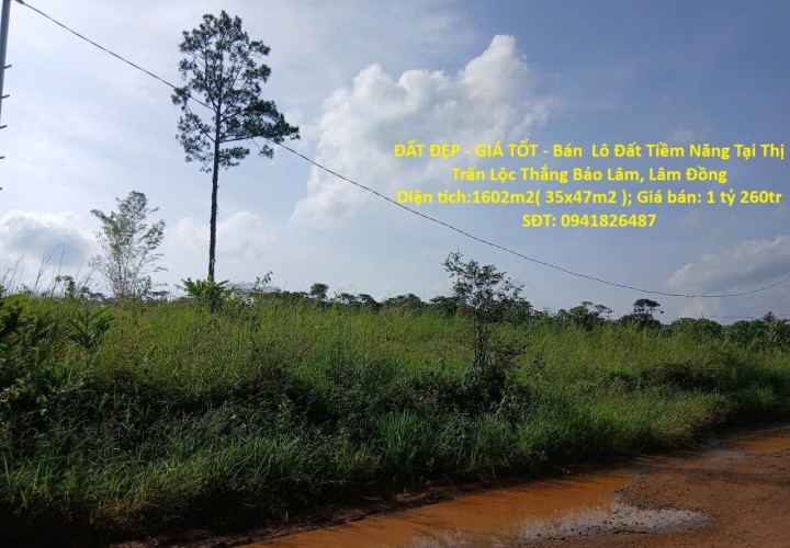 ĐẤT ĐẸP - GIÁ TỐT - Bán  Lô Đất Tiềm Năng Tại Thị Trấn Lộc Thắng Bảo Lâm, Lâm Đồng
