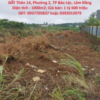 ĐẤT ĐẸP - GIÁ TỐT- CHÍNH CHỦ CẦN BÁN CĂN LÔ ĐẤT Thôn 14, Phường 2, TP Bảo Lộc, Lâm Đồng