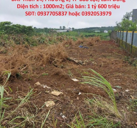 ĐẤT ĐẸP - GIÁ TỐT- CHÍNH CHỦ CẦN BÁN CĂN LÔ ĐẤT Thôn 14, Phường 2, TP Bảo Lộc, Lâm Đồng