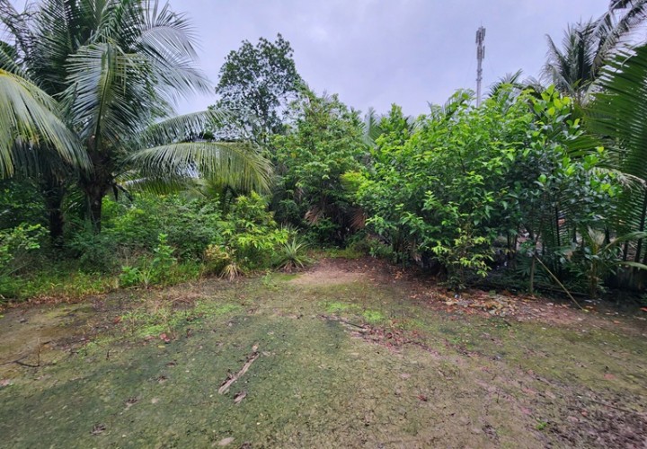 ĐẤT ĐẸP – GIÁ TỐT  – CHÍNH CHỦ CẦN BÁN tại ấp An Định Cầu, xã An Trường, Càng Long, Trà Vinh cũ