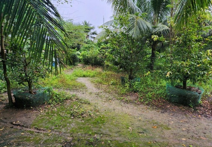 ĐẤT ĐẸP – GIÁ TỐT  – CHÍNH CHỦ CẦN BÁN tại ấp An Định Cầu, xã An Trường, Càng Long, Trà Vinh cũ