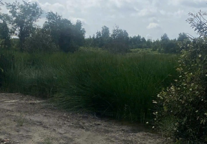 Bán GẤP Lô Đất Tiềm Năng Vị Trí Siêu Víp tại Trung Tâm sầm uất bật nhất của Nhơn Trạch, Đồng Nai