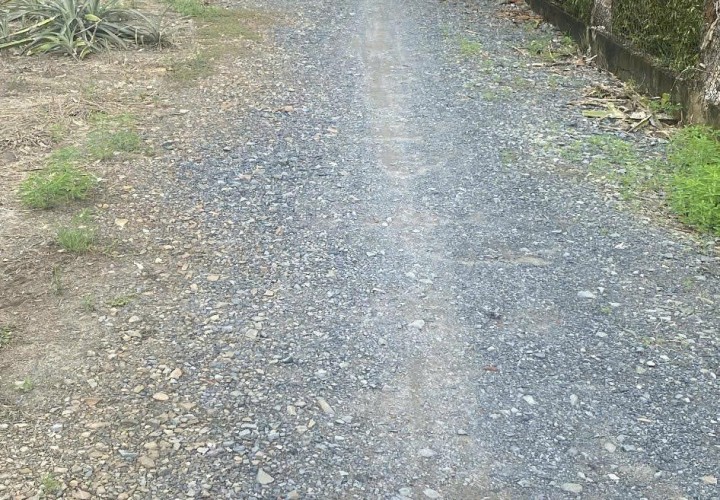 Bán GẤP Lô Đất Tiềm Năng Vị Trí Siêu Víp tại Trung Tâm sầm uất bật nhất của Nhơn Trạch, Đồng Nai