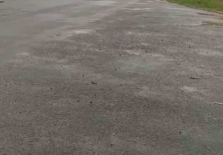 ĐẤT CHÍNH CHỦ - GIÁ TỐT - Mặt Tiền Đường Trần Phú Xã Thạnh Tân, Tây Ninh