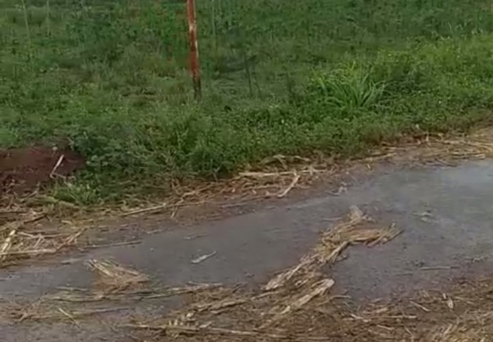 ĐẤT CHÍNH CHỦ - GIÁ TỐT - Mặt Tiền Đường Trần Phú Xã Thạnh Tân, Tây Ninh