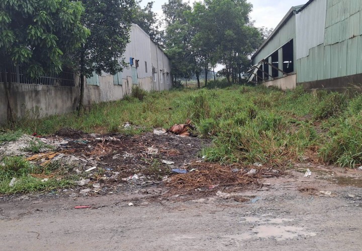 NHANH TAY Sở Hữu Ngay Lô Đất Đẹp tại xã Bình Mỹ, Bắc Tân Uyên, Bình Dương